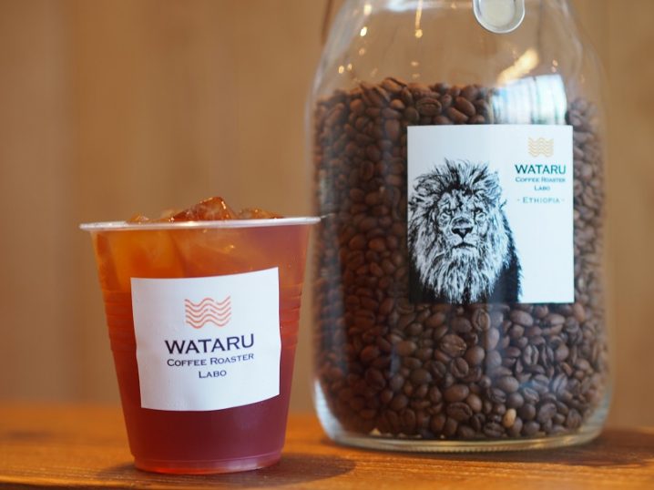 モカコーヒーの由来とは 特徴的な味わいや香りの秘密について Coffee Roaster Labo Wataru